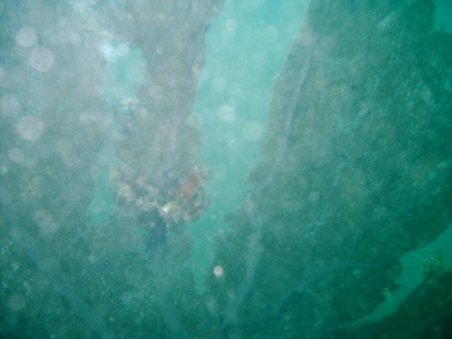 IMAG0015
